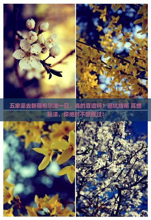 五家渠去新疆布尔津一日