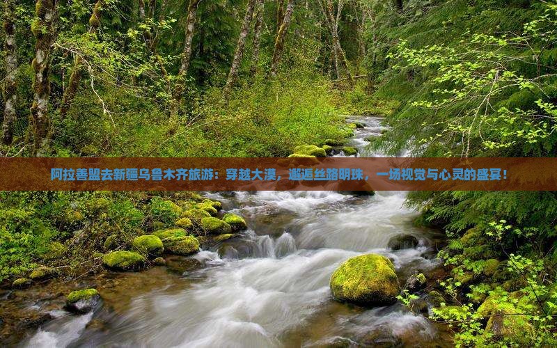 阿拉善盟去新疆乌鲁木齐旅游