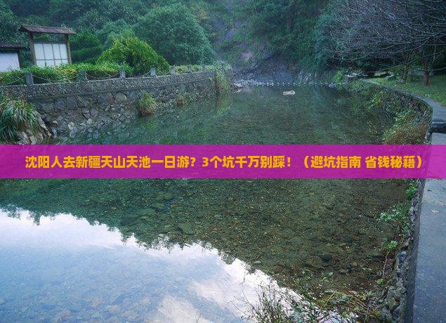 沈阳去新疆天山天池一日