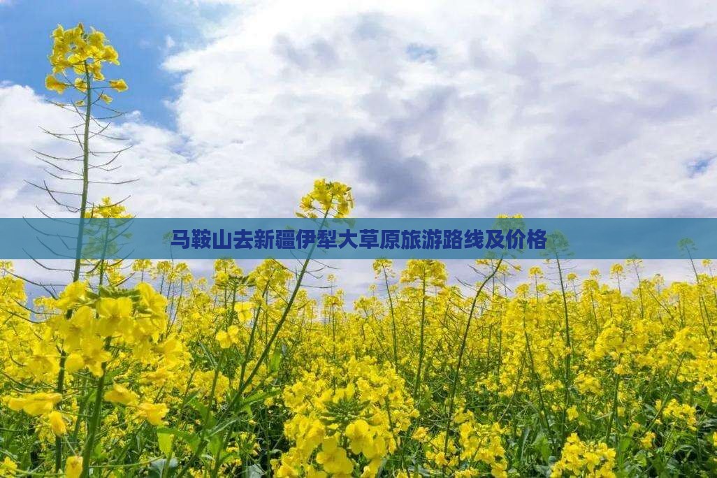 马鞍山去新疆伊犁大草原旅游