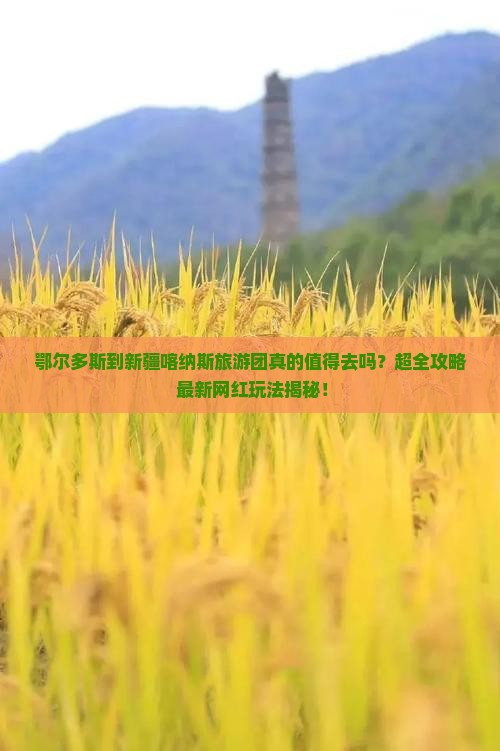 鄂尔多斯到新疆喀纳斯大型旅游团