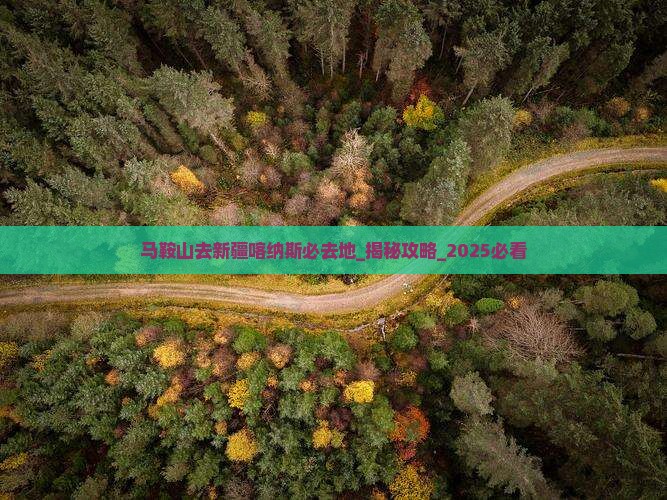 马鞍山去新疆喀纳斯必去地
