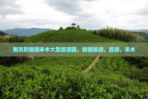 南京到新疆禾木大型旅游团