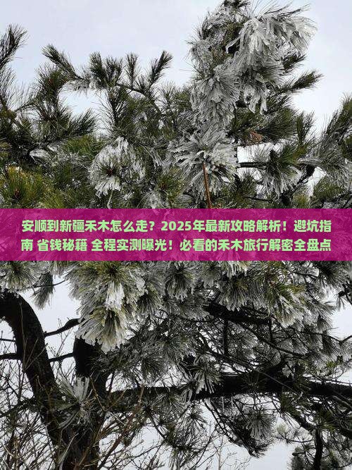安顺到新疆禾木攻略