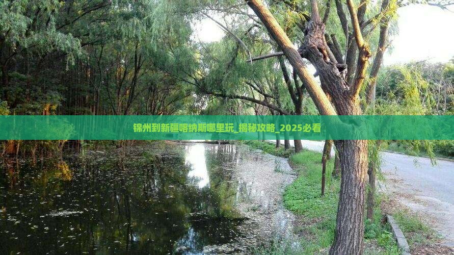 锦州到新疆喀纳斯哪里玩 锦州到新疆喀纳斯哪里玩