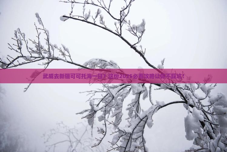 武威去新疆可可托海一日