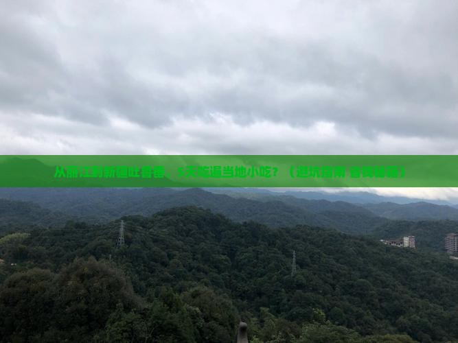 丽江去新疆吐鲁番旅游小吃