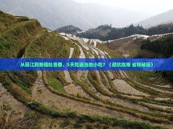 丽江去新疆吐鲁番旅游小吃