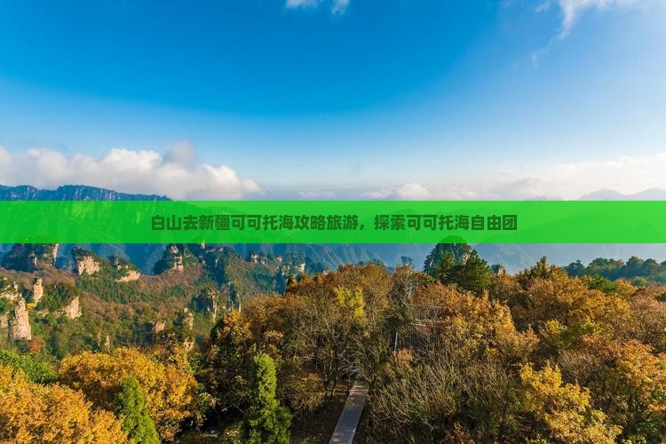 白山去新疆可可托海自由团