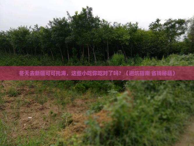 冬天到新疆可可托海旅游小吃