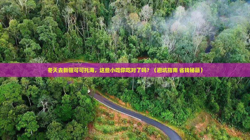 冬天到新疆可可托海旅游小吃
