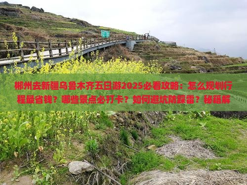 郴州去新疆乌鲁木齐五日游