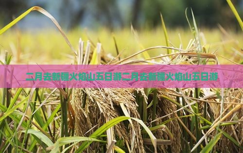 二月去新疆火焰山五日游