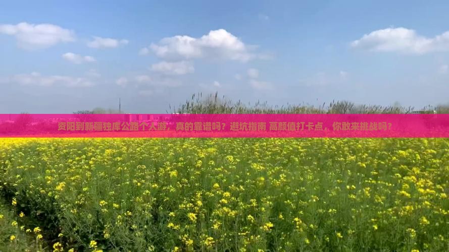 资阳到新疆独库公路个人游