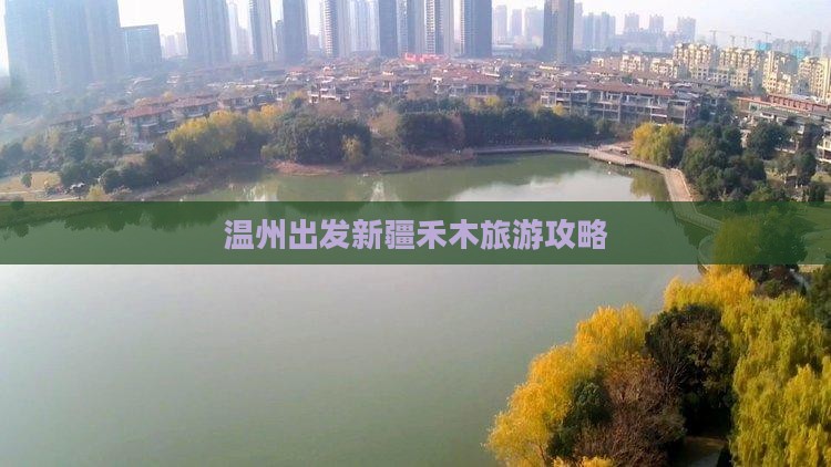 温州去新疆禾木自由团