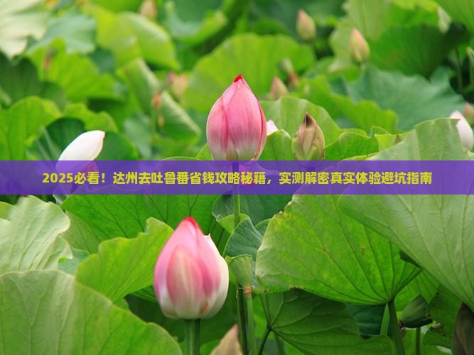 达州去新疆吐鲁番攻略