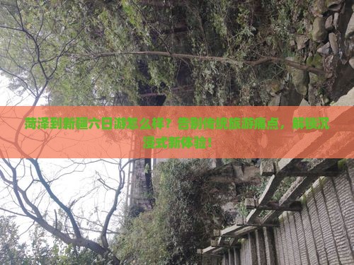 菏泽到新疆六日游
