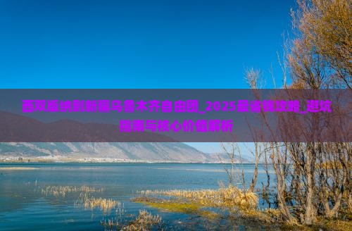 西双版纳到新疆乌鲁木齐自由团