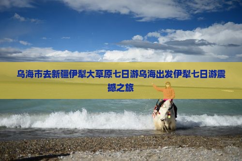 乌海市去新疆伊犁大草原七日游