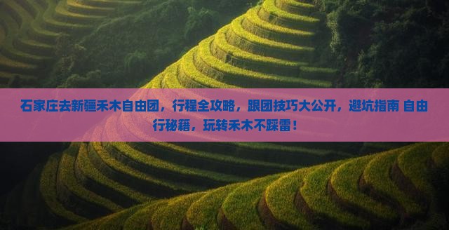 石家庄去新疆禾木自由团