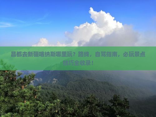 昌都去新疆喀纳斯哪里玩