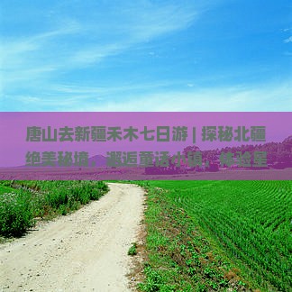 唐山去新疆禾木七日游