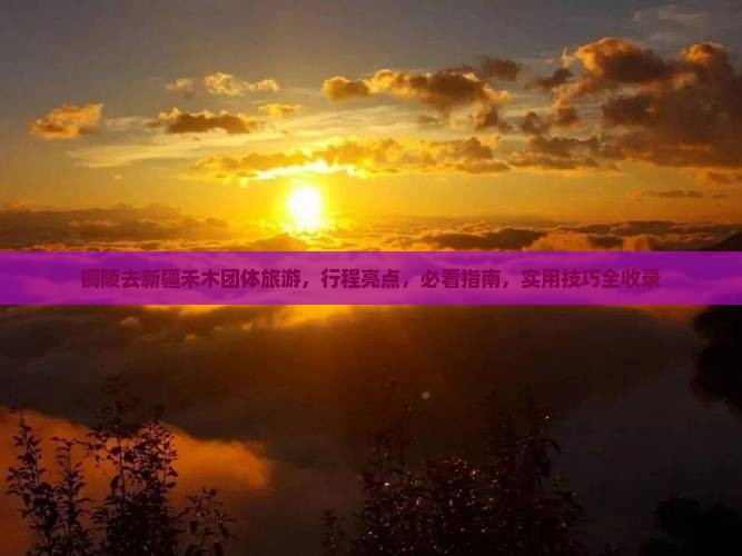 铜陵去新疆禾木团体旅游