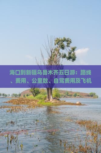 海口到新疆乌鲁木齐五日游