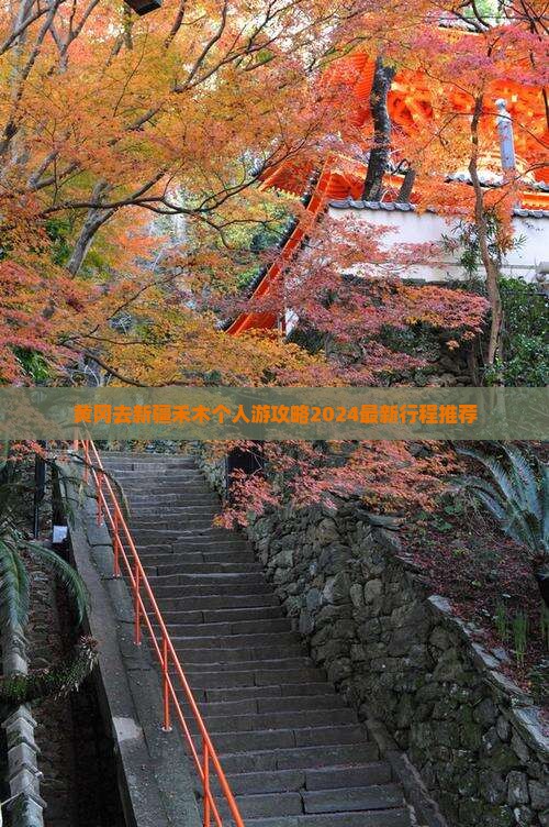 黄冈去新疆禾木个人游