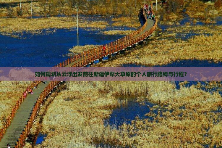 如何规划从云浮出发前往新疆伊犁大草原的个人旅行路线与行程？