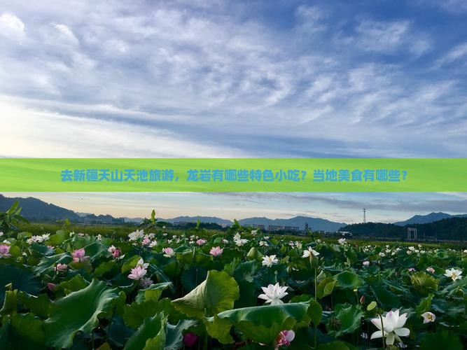 去新疆天山天池旅游，龙岩有哪些特色小吃？当地美食有哪些？