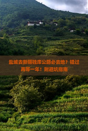 盐城去新疆独库公路必去地？错过再等一年！附避坑指南