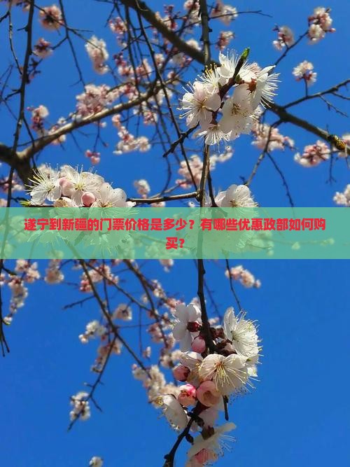 遂宁到新疆的门票价格是多少？有哪些优惠政部如何购买？