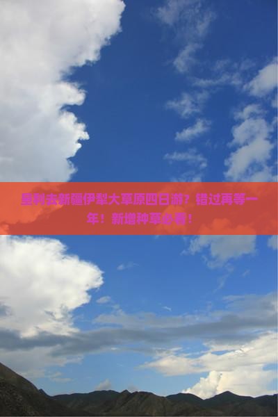 垦利去新疆伊犁大草原四日游？错过再等一年！新增种草必看！