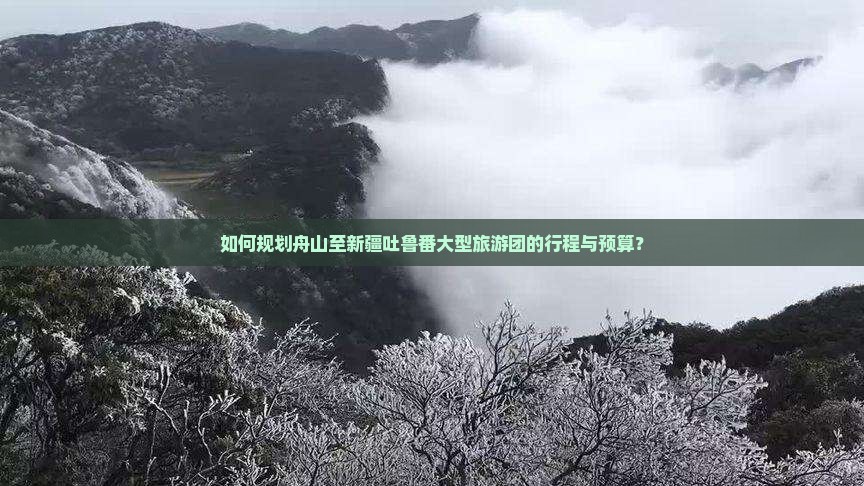 如何规划舟山至新疆吐鲁番大型旅游团的行程与预算？