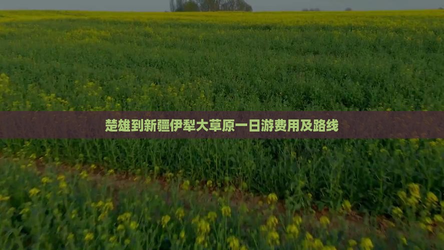 楚雄到新疆伊犁大草原一日游费用及路线