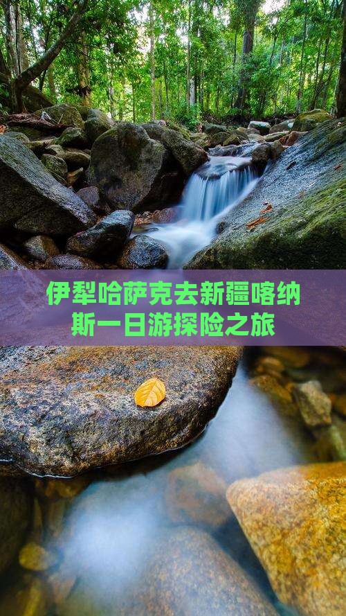 伊犁哈萨克去新疆喀纳斯一日游探险之旅