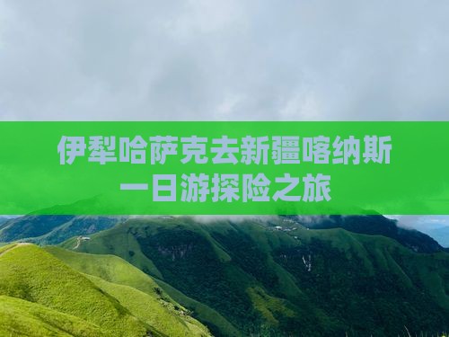 伊犁哈萨克去新疆喀纳斯一日游探险之旅
