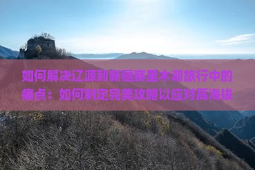 如何解决辽源到新疆赛里木湖旅行中的痛点：如何制定完美攻略以应对高海拔和温差挑战？