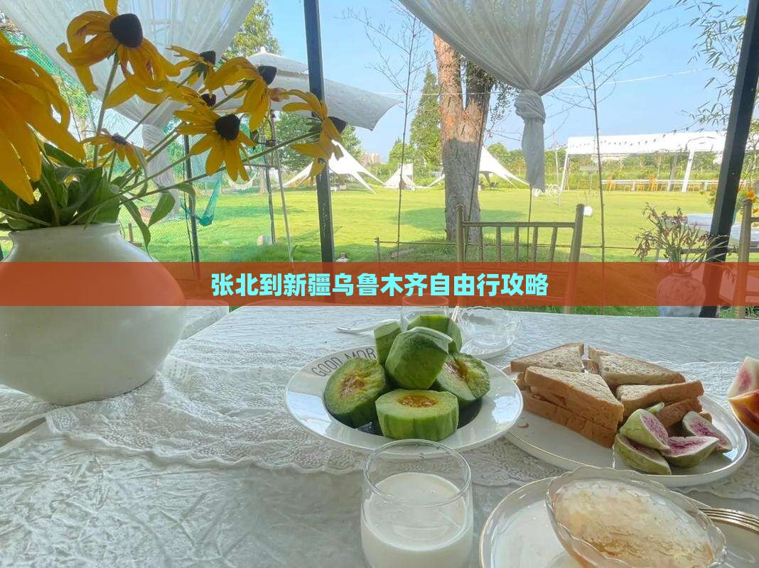 张北到新疆乌鲁木齐自由行攻略