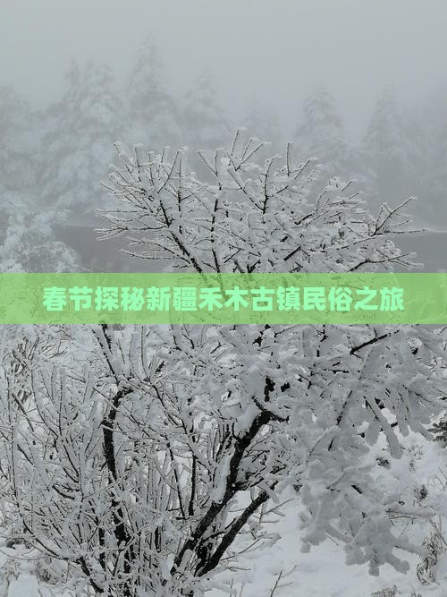 春节探秘新疆禾木古镇民俗之旅