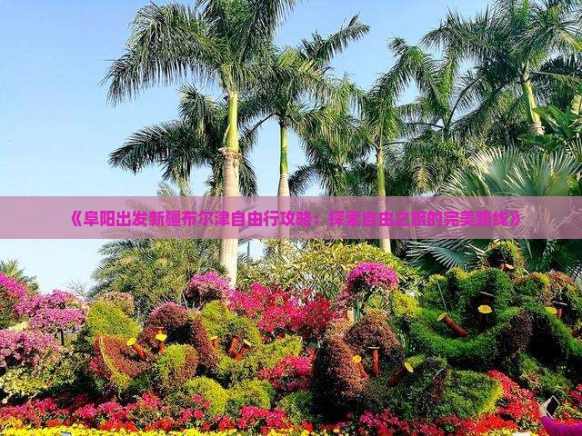 《阜阳出发新疆布尔津自由行攻略：探索自由之旅的完美路线》