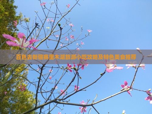 百色去新疆赛里木湖旅游小吃攻略及特色美食推荐