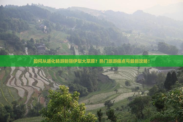 如何从通化畅游新疆伊犁大草原？热门旅游痛点与最新攻略！
