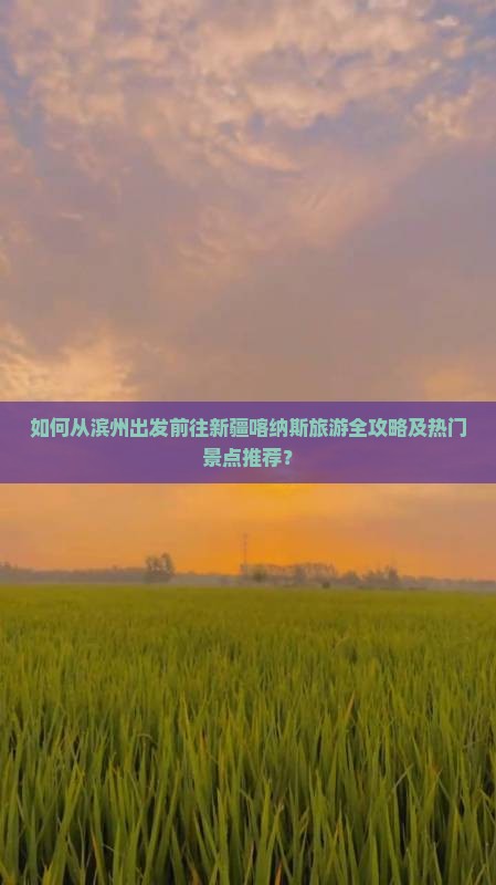 如何从滨州出发前往新疆喀纳斯旅游全攻略及热门景点推荐？