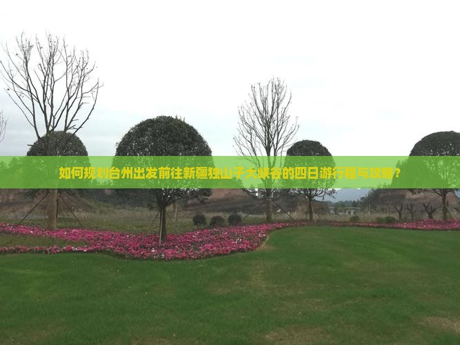 如何规划台州出发前往新疆独山子大峡谷的四日游行程与攻略？