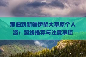 那曲到新疆伊犁大草原个人游：路线推荐与注意事项