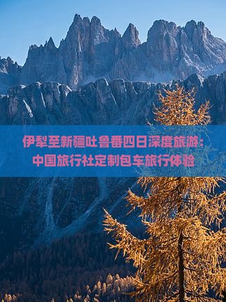伊犁至新疆吐鲁番四日深度旅游：中国旅行社定制包车旅行体验