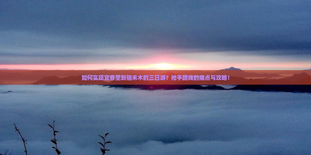 如何实现宜春至新疆禾木的三日游？抢手路线的痛点与攻略！