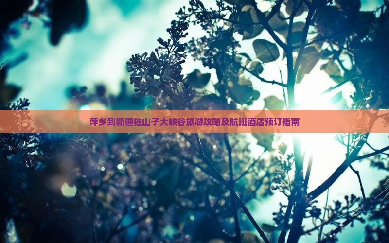 萍乡到新疆独山子大峡谷旅游攻略及航班酒店预订指南